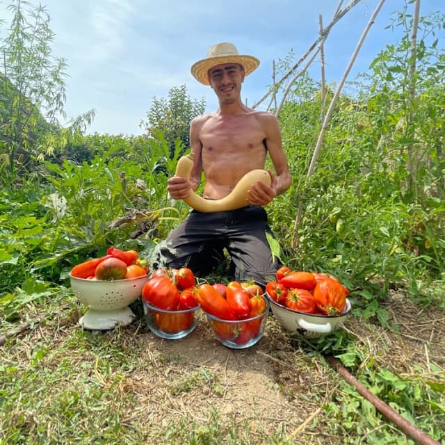 Michaël Zoicas dans son potager avec sa récolte de tomates et de courges